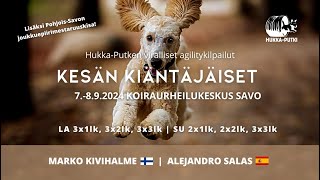 HUPU Viralliset agilitykilpailut 7892024  Koiraurheilukeskus SAVO [upl. by Calendre]