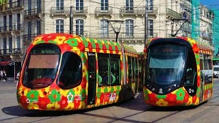 Trams in France  Les Tramways de Montpellier [upl. by Mccallum262]