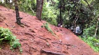 Vattakanal water falls Kodaikanal Tamilnadu India [upl. by Byrne235]