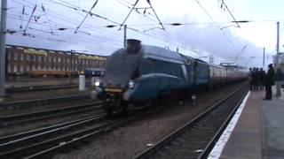 Bittern at Doncaster 90mph run [upl. by Lodmilla144]