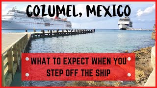 Cozumel Mexico Cruise Port TourGuide [upl. by Nerwal147]