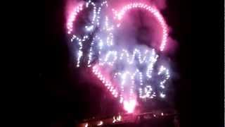 Fireworks Wedding Engagement Proposal [upl. by Asilav]