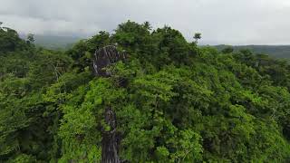 Atabay Peak Tuburan Cebu  Tuburan 360 [upl. by Rodoeht]