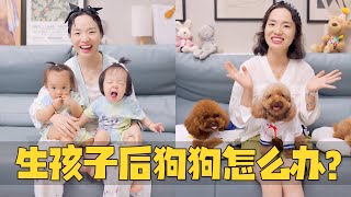 【萌星人火龙果】生孩子之后还能不能养狗？宝宝和狗狗生活在一起的优缺点！ [upl. by Aisinoid18]