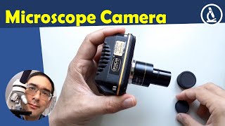 🔬 USB Microscope Camera review  Amateur Microscopy [upl. by Latyrc]