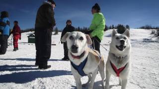 Great Winter Escapes in Kenora Ontario [upl. by Craggy]