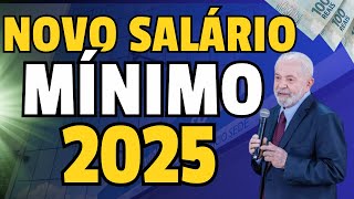 NOVO salário mínimo 2025 INSS [upl. by Yznel]