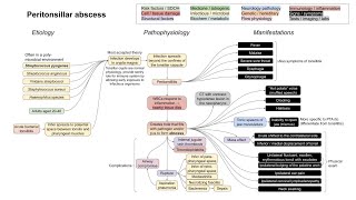 Peritonsillar abscess mechanism of disease [upl. by Odnomar]