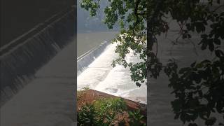 This is amazing water flow short nature trading sea subscribe [upl. by Isidro]