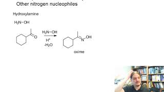 Oximes and Hydrazones [upl. by Cattier]