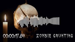 Zombie Grunting  Horror Sound Effect [upl. by Kiefer]