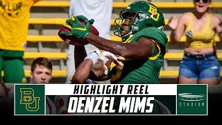 Baylor WR Denzel Mims Highlight Reel  2019 Season  Stadium [upl. by Reedy905]