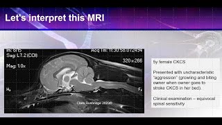 MRI interpretation of Canine Chiari and syringomyelia  from the expert [upl. by Adien]