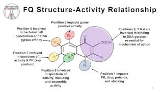 Intro to Bacteria amp Antibiotics Quinolones [upl. by Yenolem]