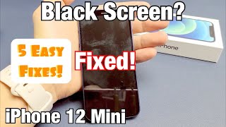 iPhone 12 Mini Black Screen Display Wont Turn On 5 Easy Fixes [upl. by Lina]