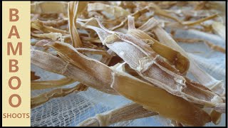 Traditional Chinese Bamboo Shoot Preservation drying [upl. by Necyrb]