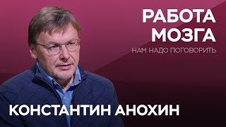 Как связаны мозг сознание и душа  Константин Анохин  Нам надо поговорить [upl. by Dalohcin]