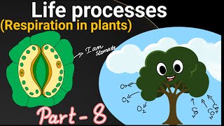 10th class Biology 1st chapter life processes respiration in plants clear explanation part 8 SMR sir [upl. by Sari644]