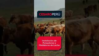 Instalación de pulsadores electrónicos y medidores de leche 🐮💙 [upl. by Gelhar]