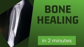 Bone healing in 2 mins [upl. by Ronna]