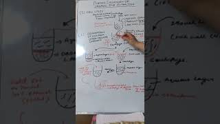 Phenol chloroform DNA extraction Hindi [upl. by Yesnel]