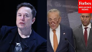 BREAKING Chuck Schumer Hakeem Jeffries Introduce Stop The Steal Act To Counter Elon Musk DOGE [upl. by Kester]