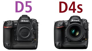 Nikon D5 vs Nikon D4S [upl. by Andromada]