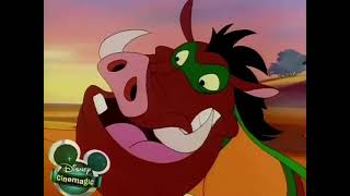 Timon and Pumbaa Episode 7  The Pain in Spain [upl. by Goines]