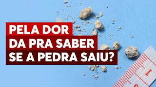 Como saber se a pedra no rim saiu O cálculo renal foi eliminado quando a dor parou [upl. by Yrot]