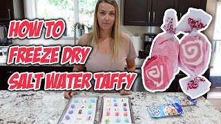 How to Freeze Dry Salt Water Taffy [upl. by Abihsat]