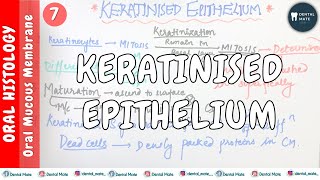 Keratinised Epithelium  Keratinization process  Maturation of keratinocytes  OMM  Dr Paridhi [upl. by Mahau]