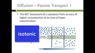 Transport through the plasma membrane [upl. by Jonette]