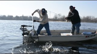 How to Properly Net a Fish  Beckman Nets [upl. by Murton]