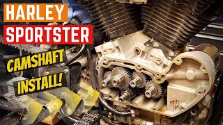 SPORTSTER Camshaft Install HOW TO  In The Shop [upl. by Llebana]