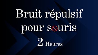 Bruit Répulsif pour Souris Chassez les souris pour des jours calmes et sereins [upl. by Ursulette954]