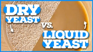 DRY YEAST VS LIQUID YEAST  Home Brewing Beginners Intro to Yeast [upl. by Maurreen]