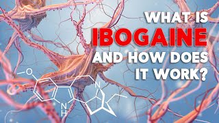 What is Ibogaine and how does it work [upl. by Oludoet]