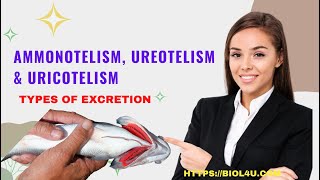 Ammonotelism ureotelism and uricotelism [upl. by Aivekahs]