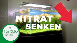 Nitrat im Aquarium senken [upl. by Cathi]