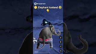 Elephant Iceland 🐘🤣🤣 on google maps and google earth 🌎 shots hrgoogleearth [upl. by Auos]