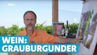 Werner erklärt Wein Grauburgunder [upl. by Alehs357]