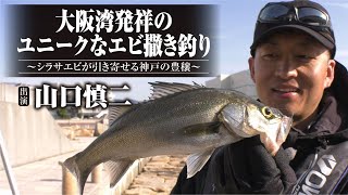 412 大阪湾発祥のユニークなエビ撒き釣り～シラサエビが引き寄せる神戸の豊穣～ [upl. by Lotsyrc]