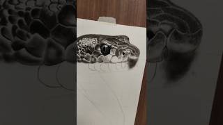 Snake Drawing with charcoal pencil 😅 [upl. by Scheld]