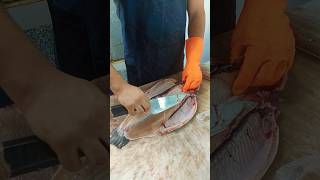 How to clean trout without bones in 22 seconds fishcutting [upl. by Ggerk]