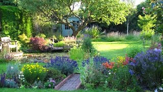 The Cottage Garden in Surrey  An English Country Garden Through the Seasons [upl. by Yance622]