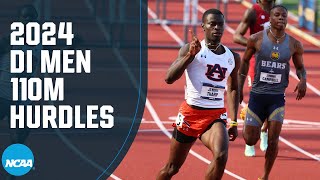 Mens 110m hurdles semifinals  2024 NCAA track and field championship [upl. by Dougy]