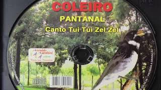 10 HORAS de Encarte Coleiro Canto Tui Tui Zel Zel Pantanal Canto Clássico Canto para Muda [upl. by Nosoj]