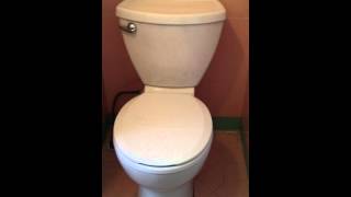 American Standard Cadet 3 Toilet  Install and Flush [upl. by Tail317]