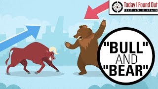 Why are Bull and Bear Markets Called That [upl. by Ealasaid737]