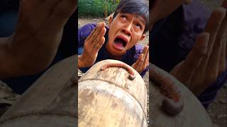 Kasihan ulat kaki seribu millipede ini shortvideo millipede [upl. by Immanuel]